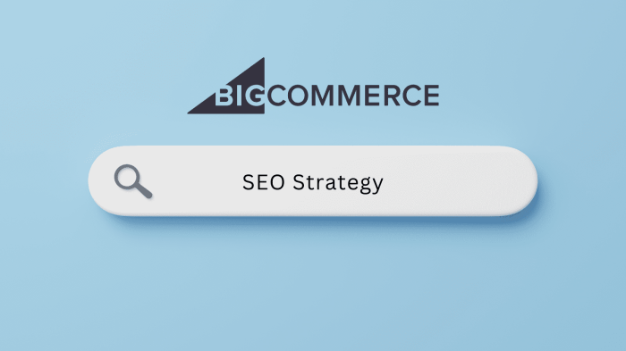 BigCommerce SEO Agency | BigCommerce SEO Services in India