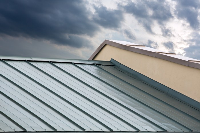 8 Eco-Friendly Roofing Materials to Consider | Reliable Roofing