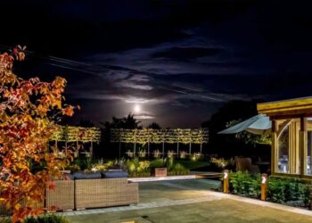 Lighting Automation - The AV King